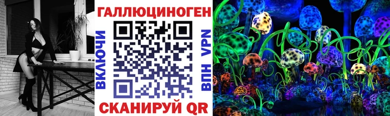 kraken сайт  Междуреченск  Галлюциногенные грибы Magic Shrooms 