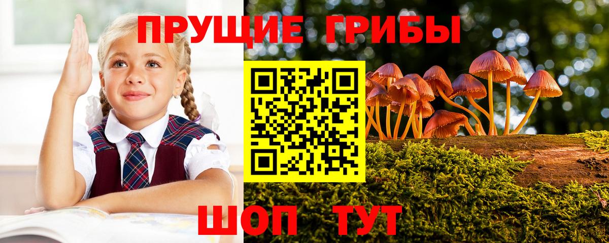 Междуреченск  Галлюциногенные грибы ЛСД  Вход с VPN  Псилоцибиновые грибы прущие грибы 