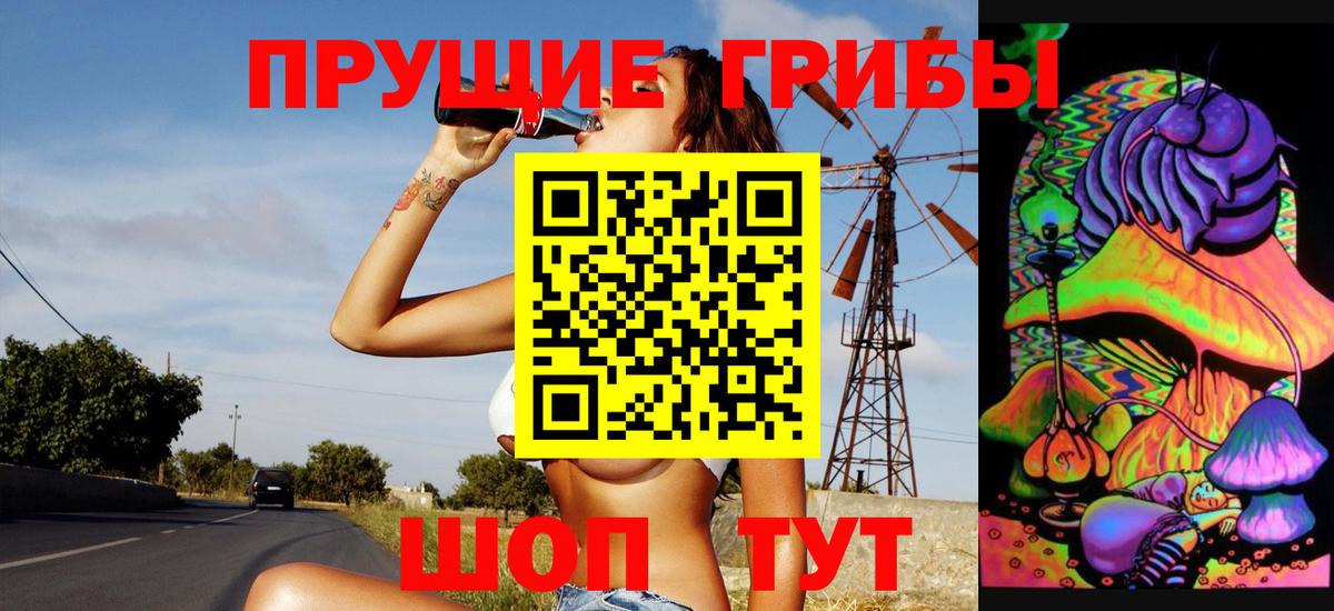 Псилоцибиновые грибы Psilocybe  Междуреченск 